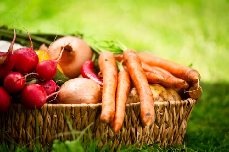 Late Season Vegetables Top 10 Vegetables To Grow In The Fall Image 612
