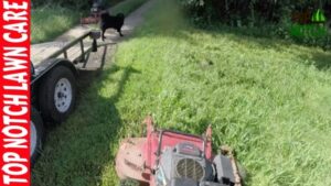 Lawn Yard Maintenance Worst Lawn Care Business Experience - Youtube Picture 130