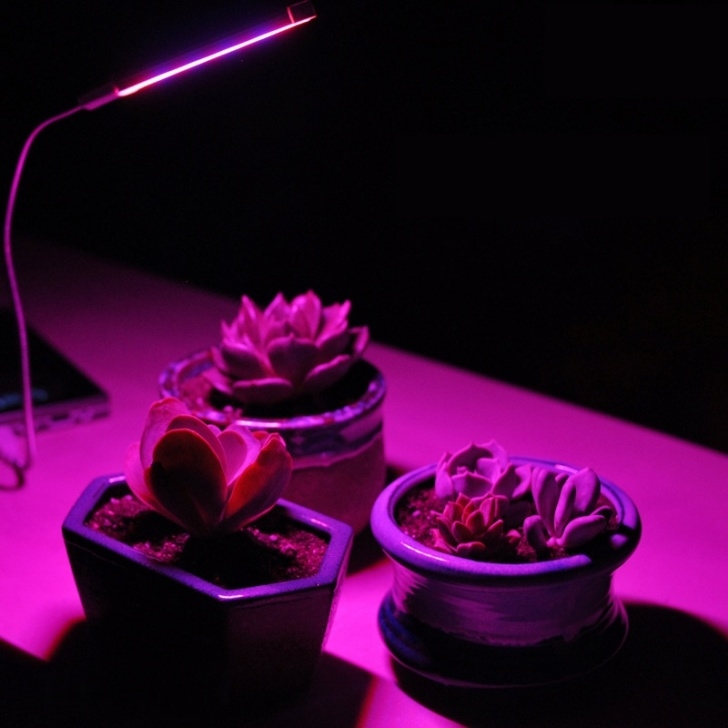 Led Light For Indoor Plants 1 X Portable Led Grow Light Lamp Usb Led Plant Growth Picture 881