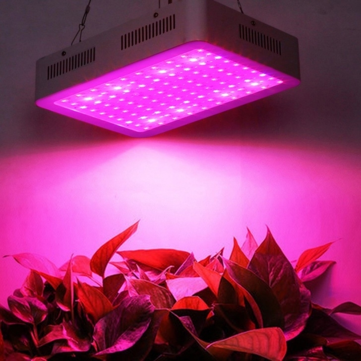 Led Light For Indoor Plants 1000W Led Grow Light Full Spectrum Plant Light Indoor Veg Image 582