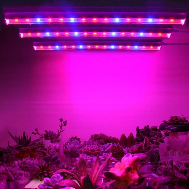 Led Light For Indoor Plants Diy Full Spectrum T5 Tube Led Grow Light Bulb Indoor Seeds Picture 549