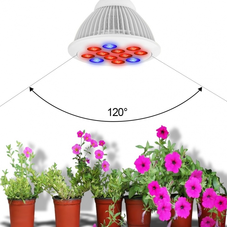 Led Plant Grow Light Bulb E27 12W Led Grow Light Bulb 12 Leds Hydroponic Plant Image 852