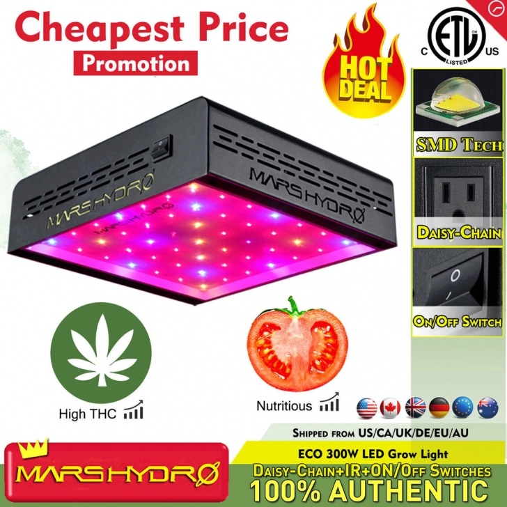 Led Plant Grow Light Bulb Eco 300W Led Grow Light Panel Lamp Hydro Full Spectrum Photo 266