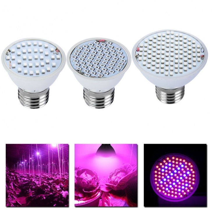 Led Plant Grow Light Bulb Full Spectrum Led Grow Light 8W E27 500Lm Spotlight Lamp Picture 326