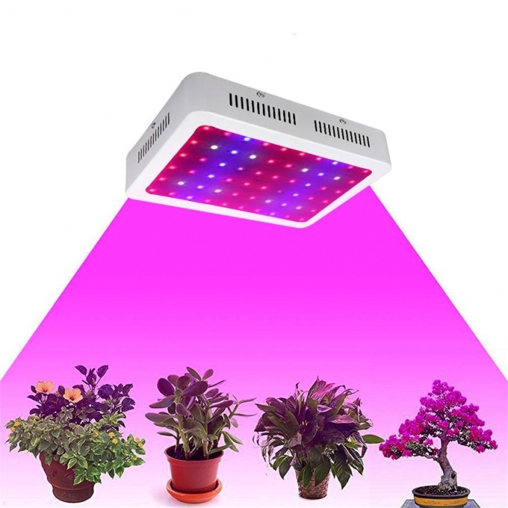 Led Plant Grow Light Bulb Us Stock! Full Spectrum Led Grow Light 600/1000/1200W Image 060