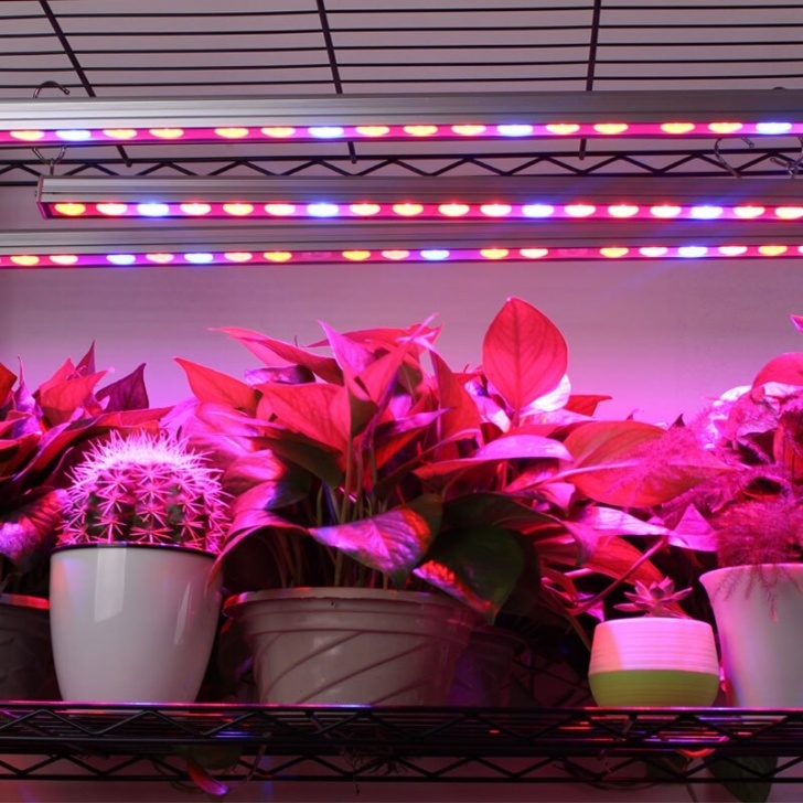 Light Bulb For Plants In Winter 10Pcs/Lot 54W Ip65 Waterproof Led Grow Light Bar Lamp For Photo 699