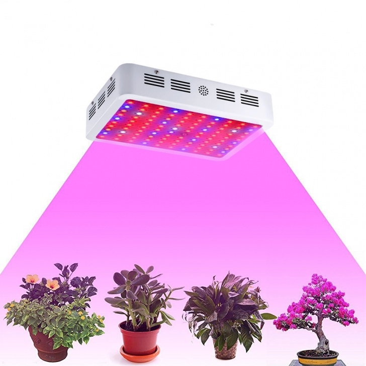 Light Bulbs For Indoor Plants 1000W Double Chip Led Grow Light Lamp Full Spectrum For Photo 286