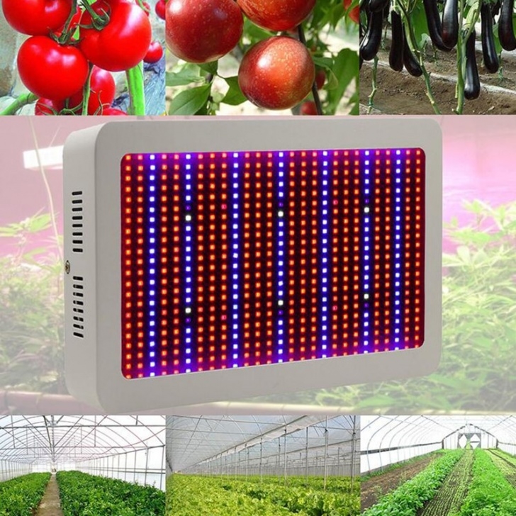 Light Bulbs For Indoor Plants 400W / 600W Led Grow Light Full Spectrum Indoor Plant Grow Picture 531