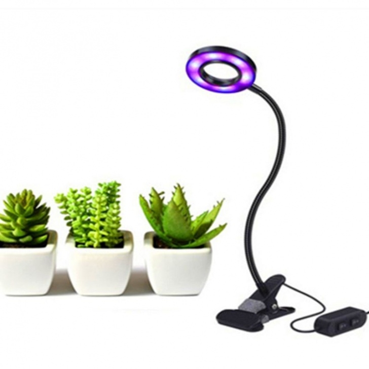 Light Bulbs For Indoor Plants 5V 10W Led Growing Lamps Usb Power Supply Desktop Indoor Image 147