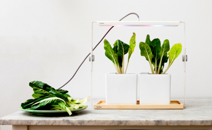 Light Bulbs For Indoor Plants Design-Centric Indoor Plant Lights For Urban Living Image 288