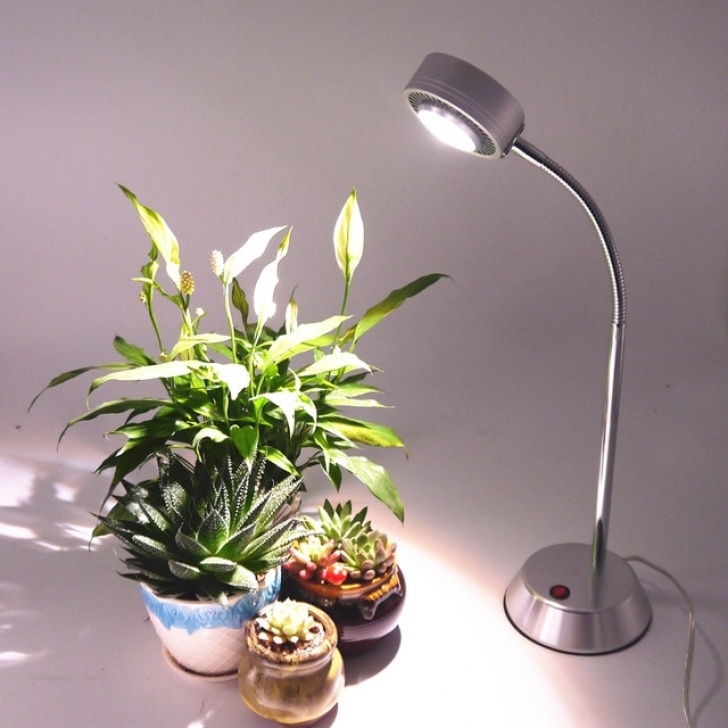 Lights To Grow Plants Inside 10W Led Full Spectrum Plant Grow Lamp,Plant Light,Grow Image 255