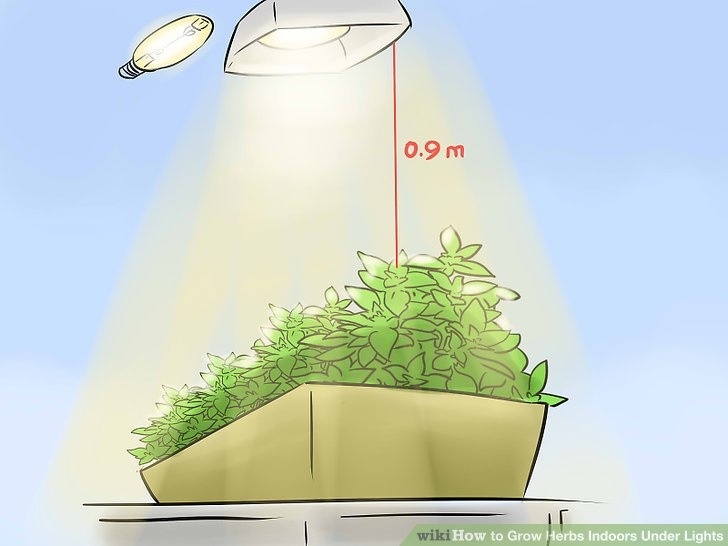 Lights To Grow Plants Inside 3 Ways To Grow Herbs Indoors Under Lights - Wikihow Photo 931