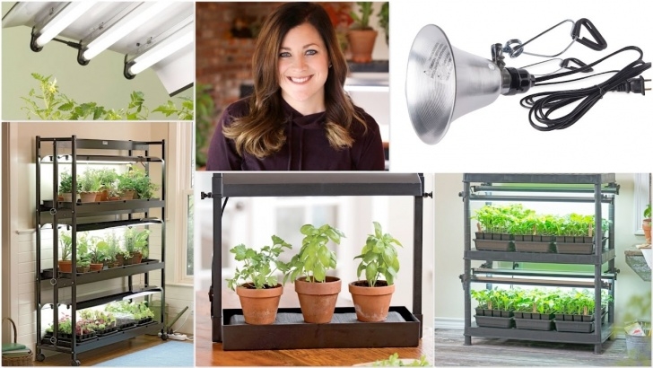 Lights To Grow Plants Inside 5 Indoor Grow Light System Ideas // Garden Answer - Youtube Photo 210