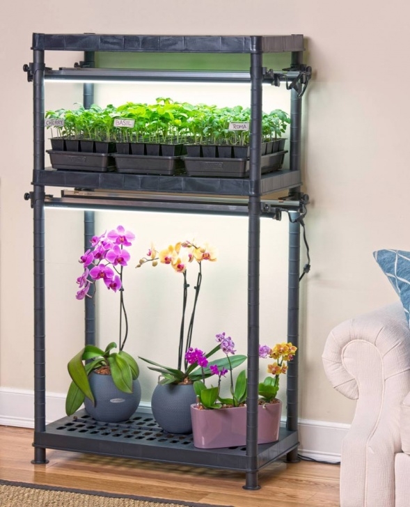 Lights To Grow Plants Inside Wshg Blog | Homegrown Flavor From An Indoor Garden Photo 660