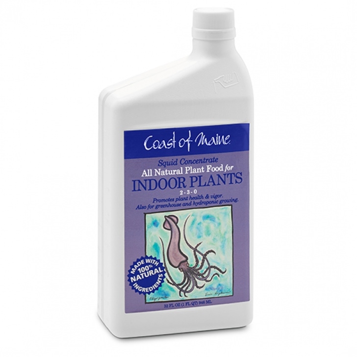 Liquid Fertilizer For Indoor Plants Liquid Squid Fertilizer For Indoor Plants - Coast Of Maine Image 664