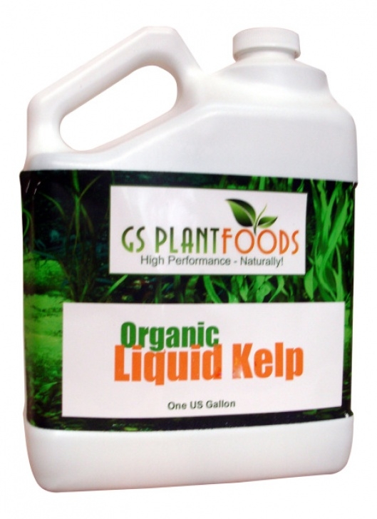 Liquid Fertilizer For Vegetables Liquid Kelp Organic Seaweed Fertilizer, Natural Kelp Image 484