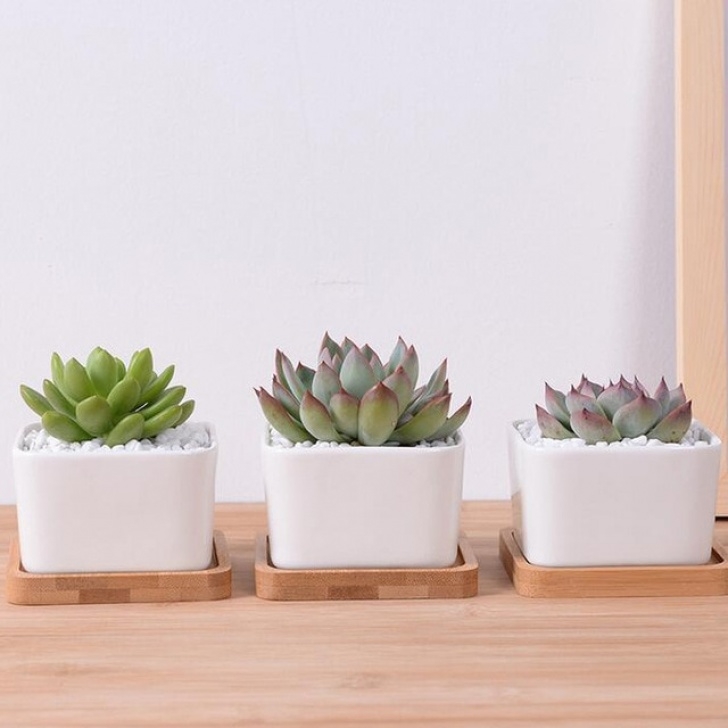 Little Pots For Plants Aliexpress : Buy Garden Supplies White Ceramic Plant Picture 573