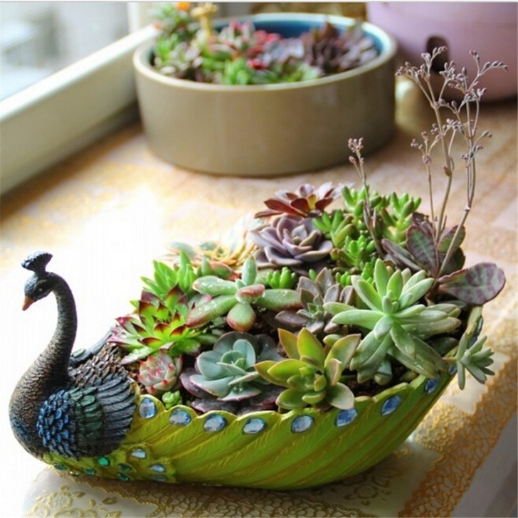 Little Pots For Plants Large Medium Small Three Size 5 Colors Pastoral Simplicity Photo 458