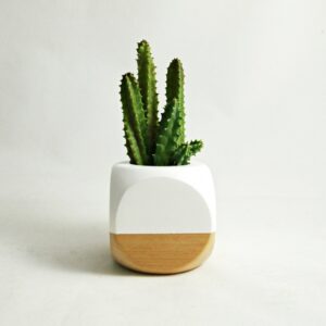 Little Pots For Plants Mini Geometric Planter // White Wood Plant Not Included Picture 221