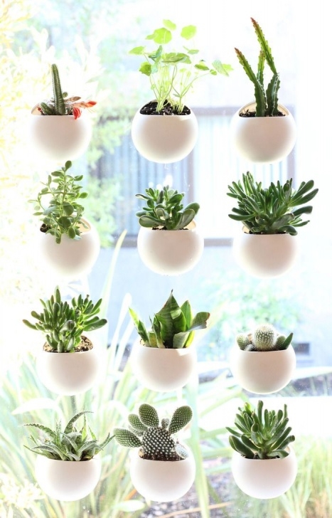 Little Pots For Plants Window Pods - The Perfect Indoor Garden By Ben Shope Photo 436