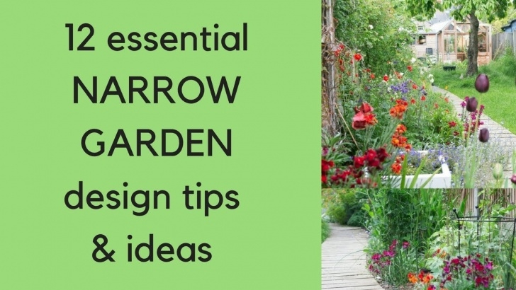 Long Thin Garden Design 12 'Narrow Garden' Design Tips And Ideas - Youtube Image 499