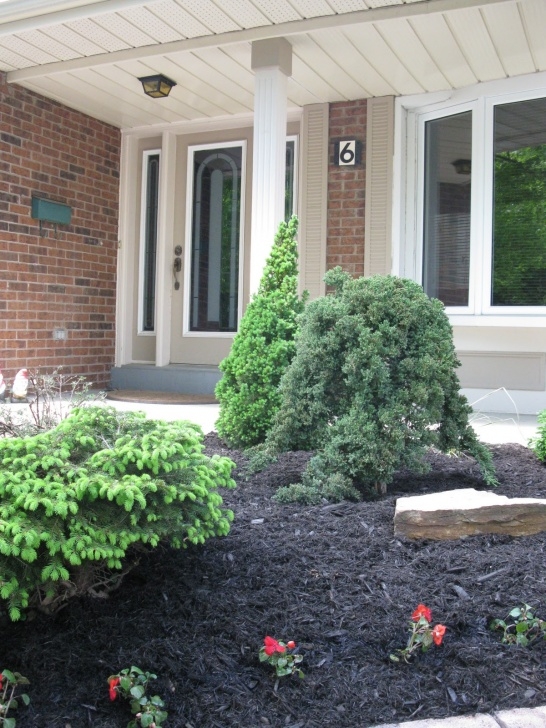 Low Maintenance Bushes And Shrubs White Swan Homes And Gardens: Low Maintenance Shrub Gardens Photo 687
