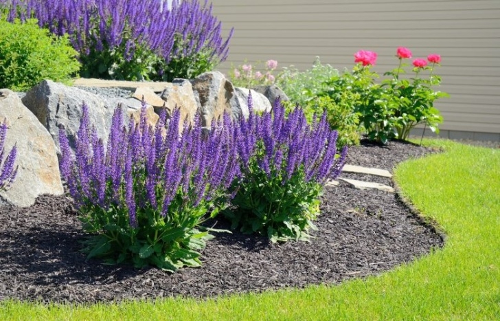 Low Maintenance Flower Beds 10 Simple Landscaping Ideas For Your Front Yard Picture 018