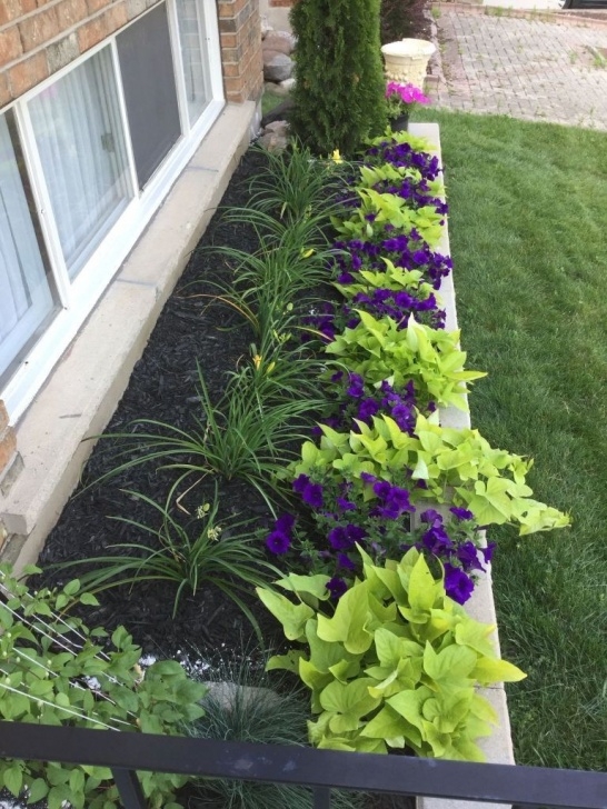 Low Maintenance Flower Beds 15 Beautiful Flower Beds In Front Of House Ideas | Small Image 740