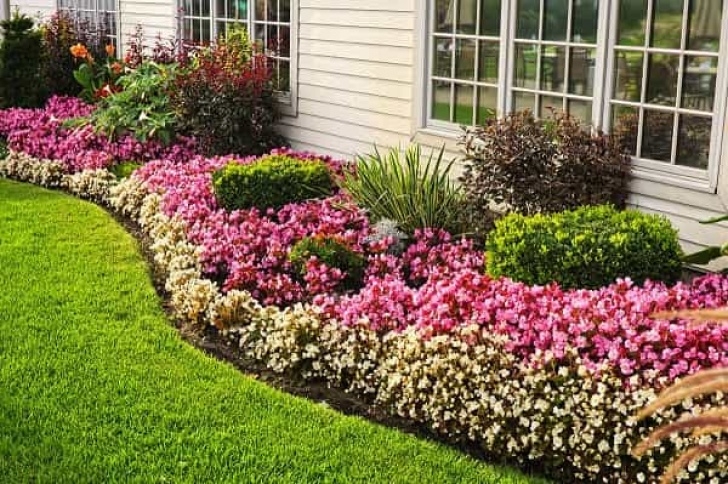 Low Maintenance Flower Beds 15 Low Maintenance Flower Beds In Front Of House – Life Is Picture 251