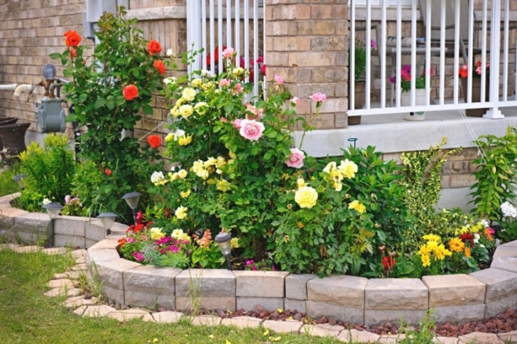 Low Maintenance Flower Beds 25 Photo Of Low Maintenance Outdoor Plants Picture 318