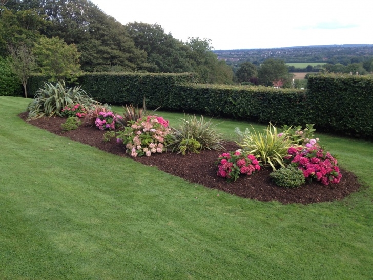 Low Maintenance Flower Beds Ayegardening - Reflecting On The Year - Looking Back At Picture 921