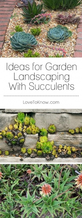 Low Maintenance Flower Beds Landscaping Garden Design With Succulents | Succulent Image 590