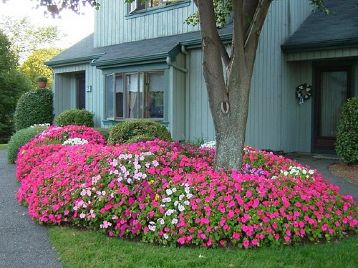 Low Maintenance Flower Beds Low Bed Ideas, Back Yard Affordable Landscaping Ideas Back Image 748