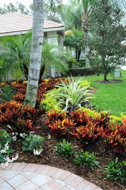 Low Maintenance Front Yard Plants 42 Best Front Yard Landscaping Ideas On A Budget Low Photo 438