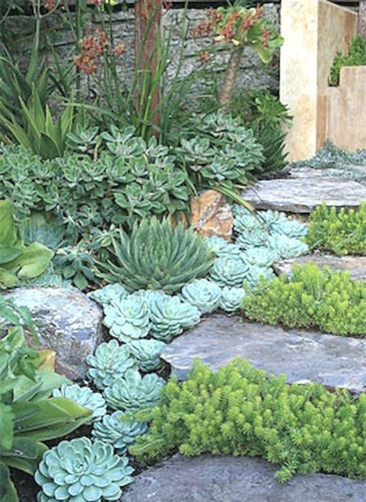 Low Maintenance Front Yard Plants Image Result For Low Maintenance Front Yards (With Images Picture 535