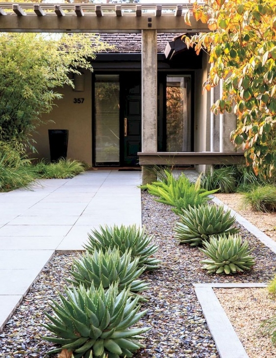 Low Maintenance Front Yard Plants Low Maintenance Front Yard Landscaping Ideas (10) | Yard Photo 732