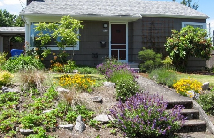 Low Maintenance Front Yard Plants Narrow Garden Trees Design For Small Spaces Hgtv Bed Long Picture 644
