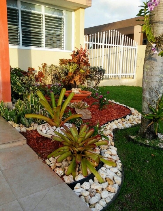 Low Maintenance Front Yard Plants Tropical Patio Design Ideas | Small Front Yard Landscaping Picture 785
