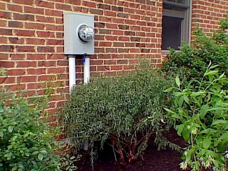 Low Maintenance Landscaping Bushes 17 Low-Maintenance Plants And Dwarf Shrubs | Diy Photo 531