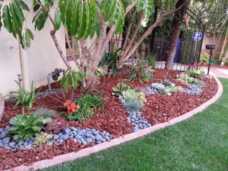 Low Maintenance Landscaping Shrubs Low Maintenance Landscape, With Succulents Plants. - Yelp Picture 037