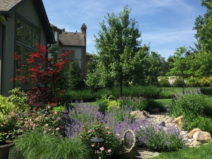 Low Maintenance Landscaping Shrubs Low Maintenance Shrubs For Your Garden - Buck And Sons Photo 695