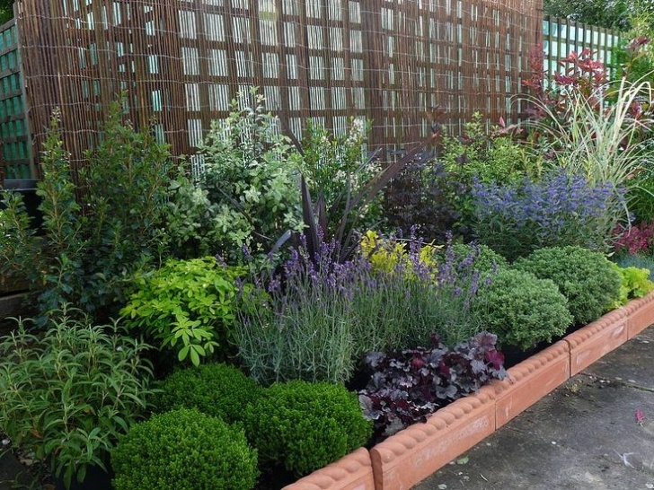 Low Maintenance Small Shrubs 5 Tips To Having Successful Low-Maintenance Gardens Image 667