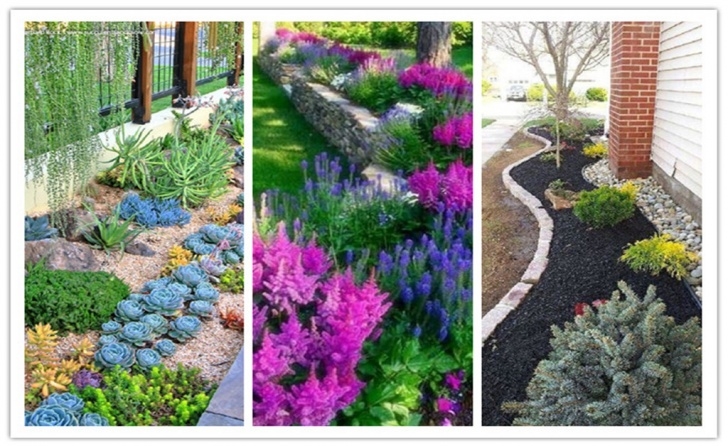 Low Maintenance Yard Plants 30 Gorgeous Low-Maintenance Front Yard Ideas Photo 645