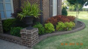 Low Maintenance Yard Plants Low Maintenance Front Yard Landscaping | Low Maintenance Picture 926