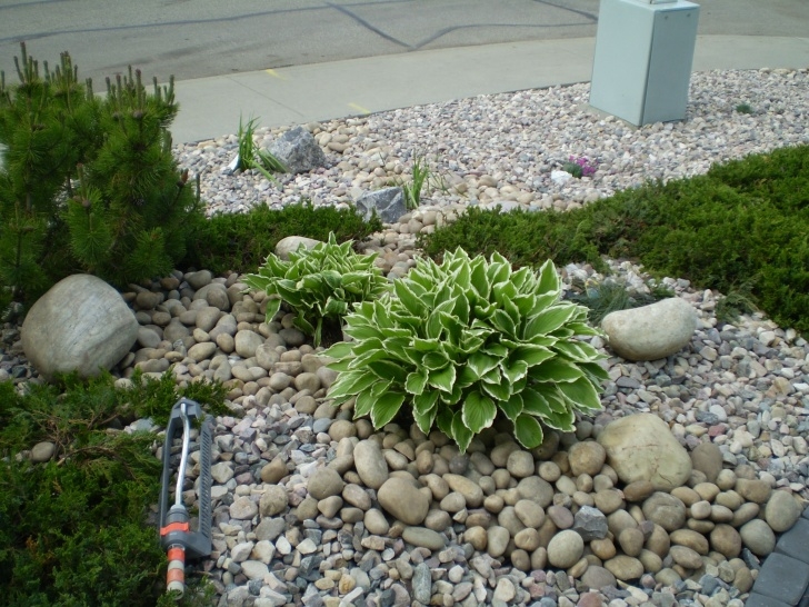 Low Maintenance Yard Plants Low Maintenance Landscaping Ideas Front Yard | Home Design Picture 404