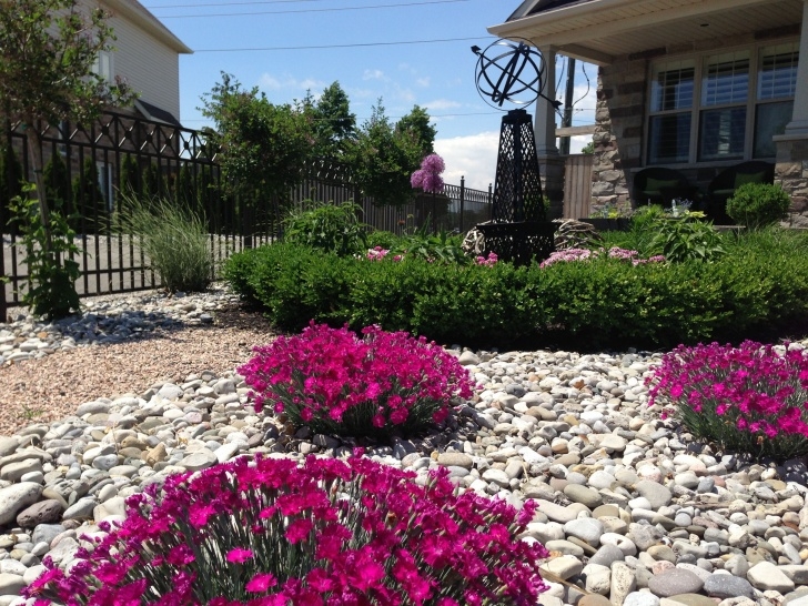 Low Maintenance Yard Plants My Front Garden. No Grass On This Front Lawn!! | How Does Image 367