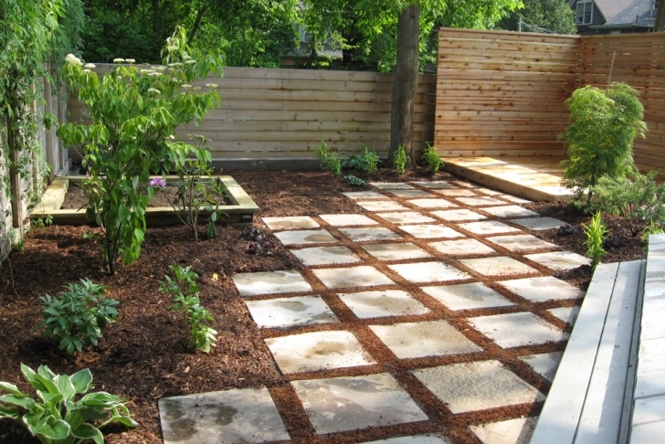 Low Maintenance Yard Plants Patio Backyard Plant Low Maintenance Beautiful Gardening Image 830