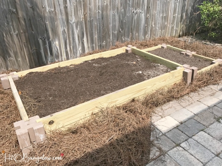 Making A Vegetable Garden How To Build A Raised Vegetable Garden Bed - H2Obungalow Image 630