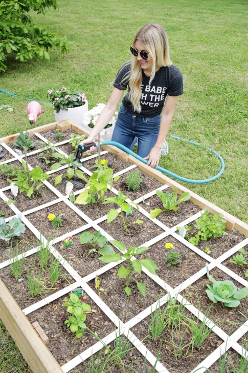 Making A Vegetable Garden Make Your Own Raised Garden Bed In 4 Easy Steps! - A Photo 186