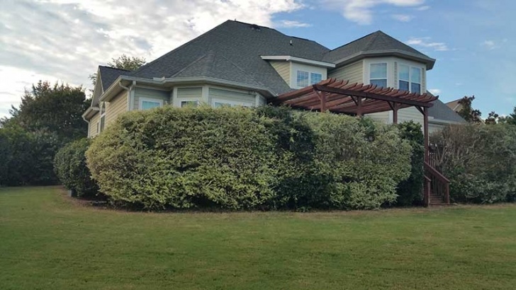 Martinez Landscaping &amp; Gardening Landscape Maintenance In Martinez, Ga | Quickcall Services Photo 414